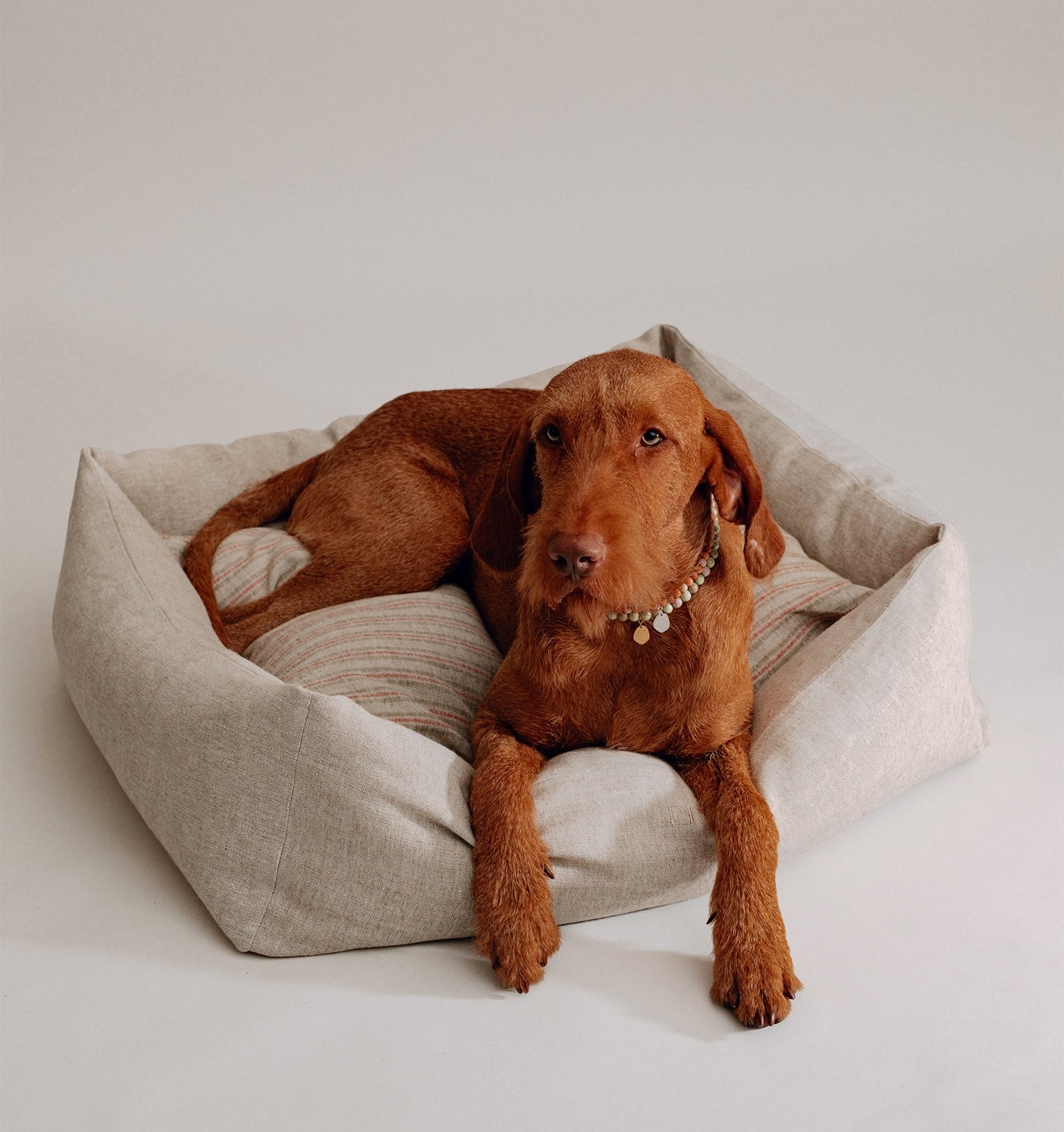 lammfell hundebett Lammfell Hundebett