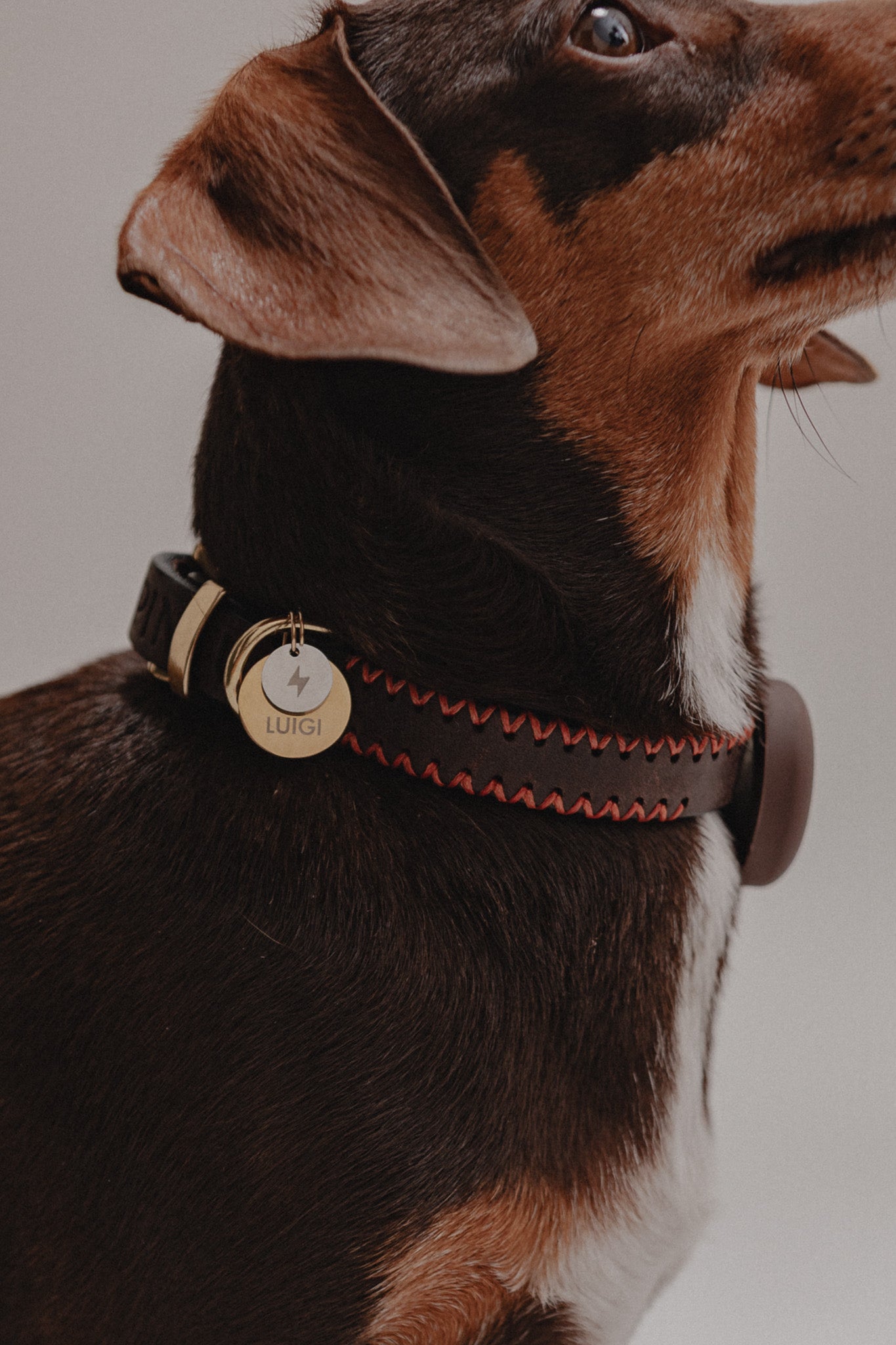 Dog Tag Double Combo with San Serif in Gold & Silver Size 20mm & 12mm