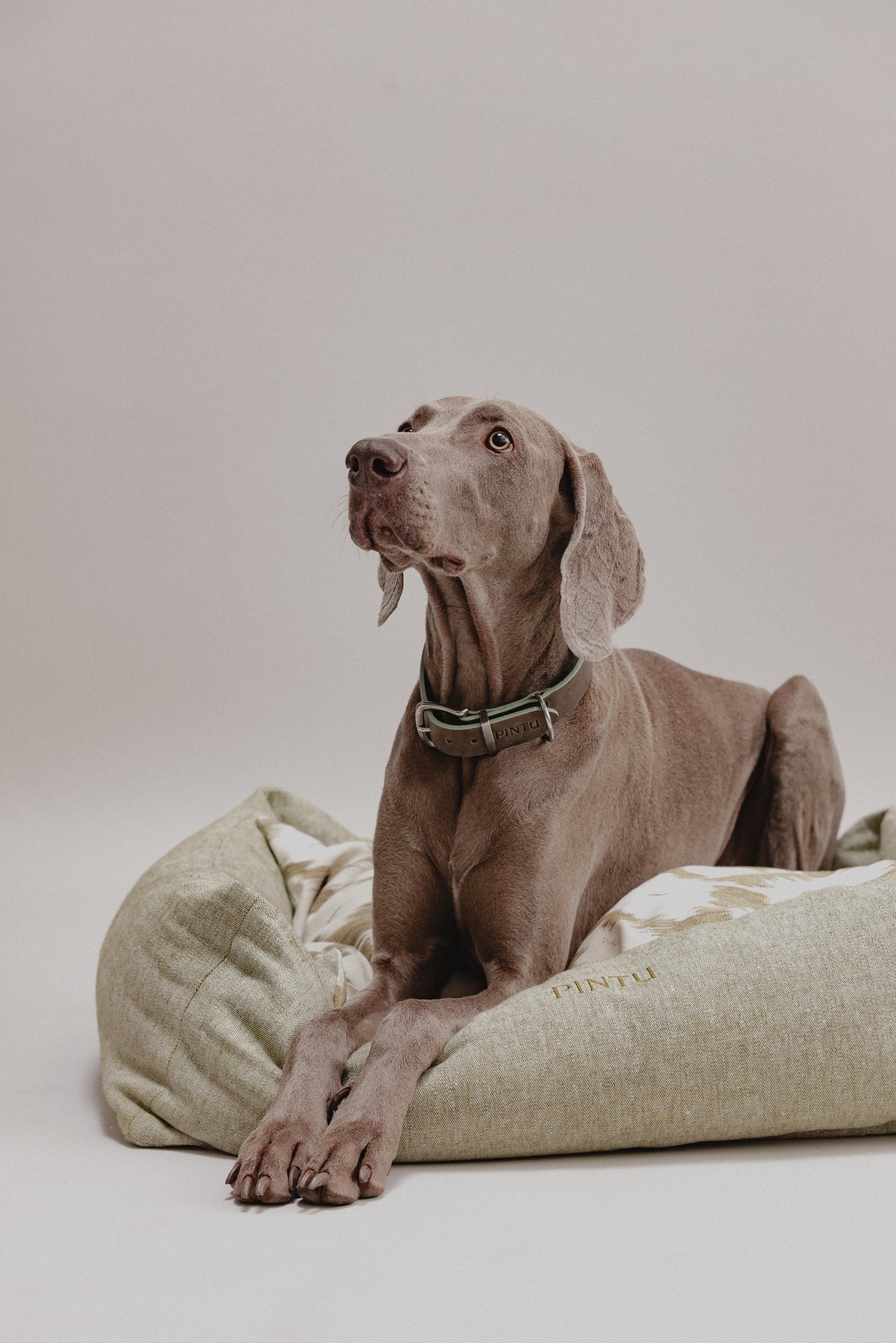 Dulce Sueños Bed Pistachio Mood Picture