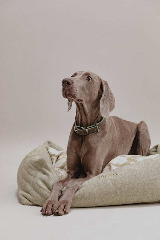 Dulce Sueños Bed Pistachio Mood Picture