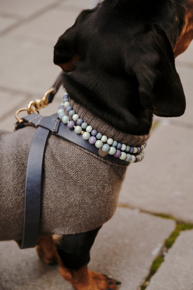 FLYNN_HARNESS_-_NAVY_BEIGE_-_LIFESTYLE_1