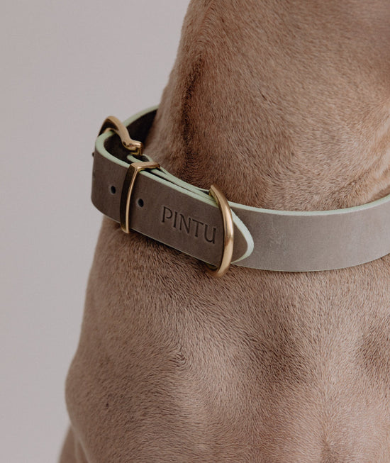 Pintu - Monte Collar - Grey/Sage Green