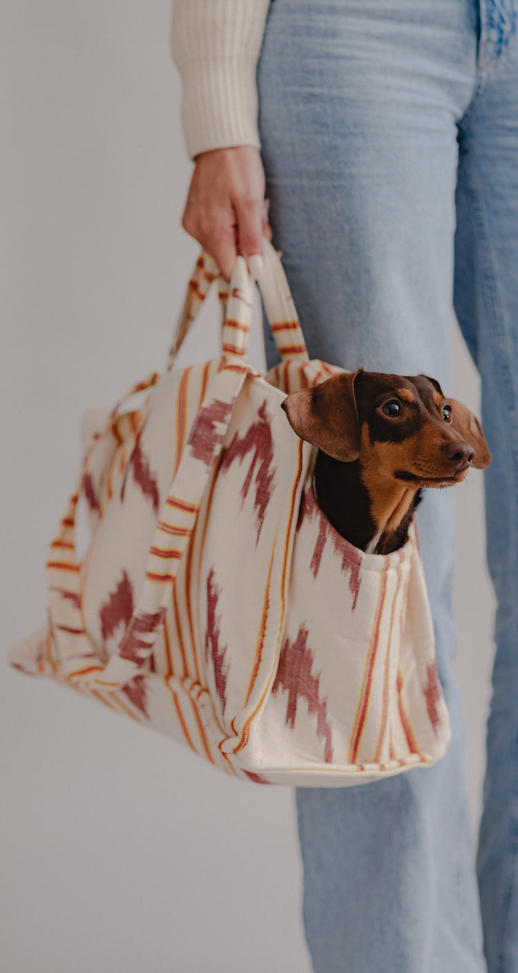 Pintu - Verano Dog Shopper - Palma - Orange