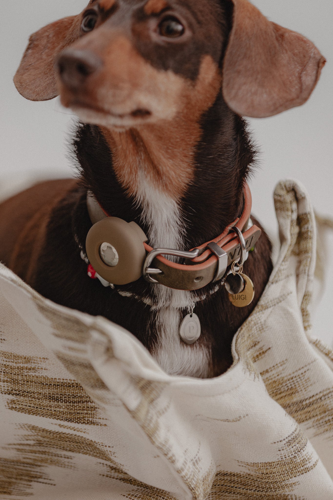 Pintu Apple Air Tag Holder Mood Olive