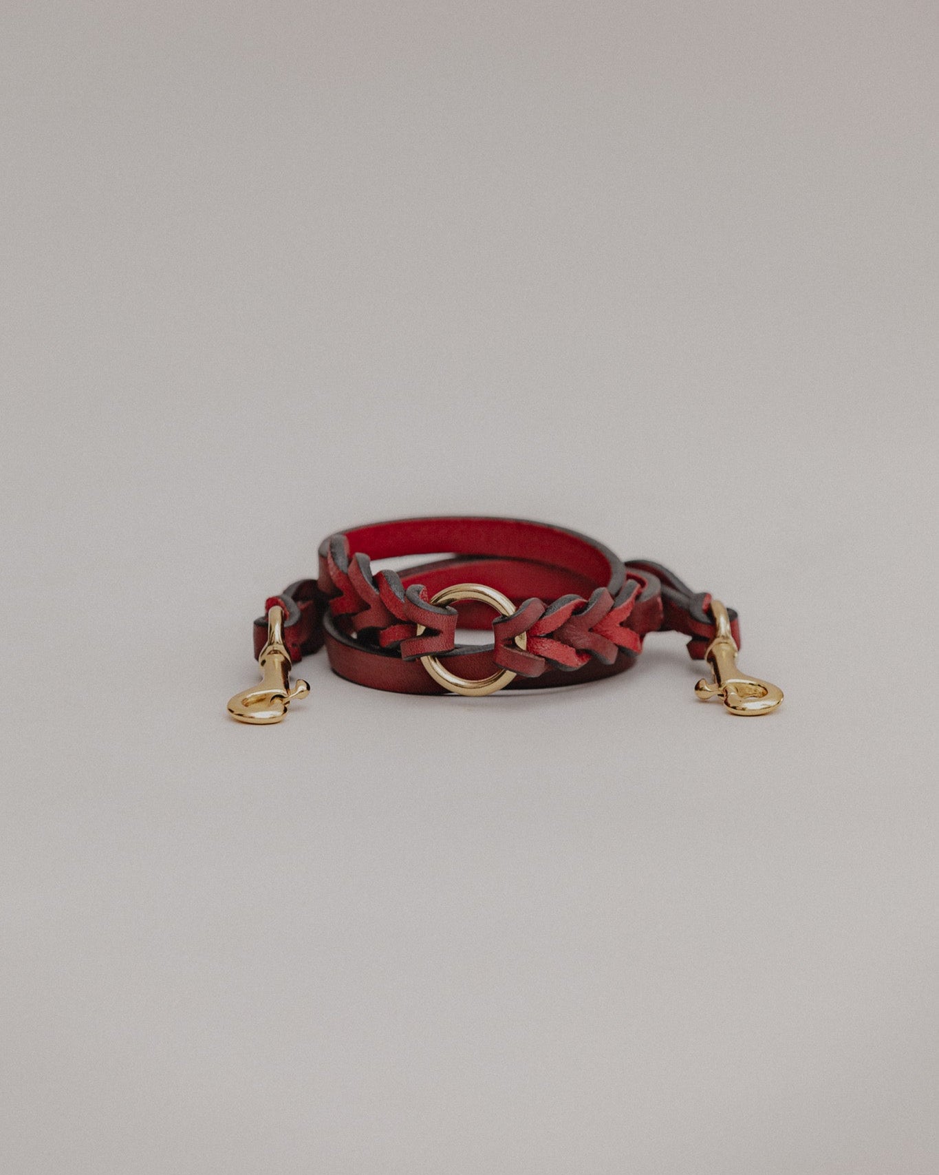 Pintu Double Dog Leash Extension Cherry Brass