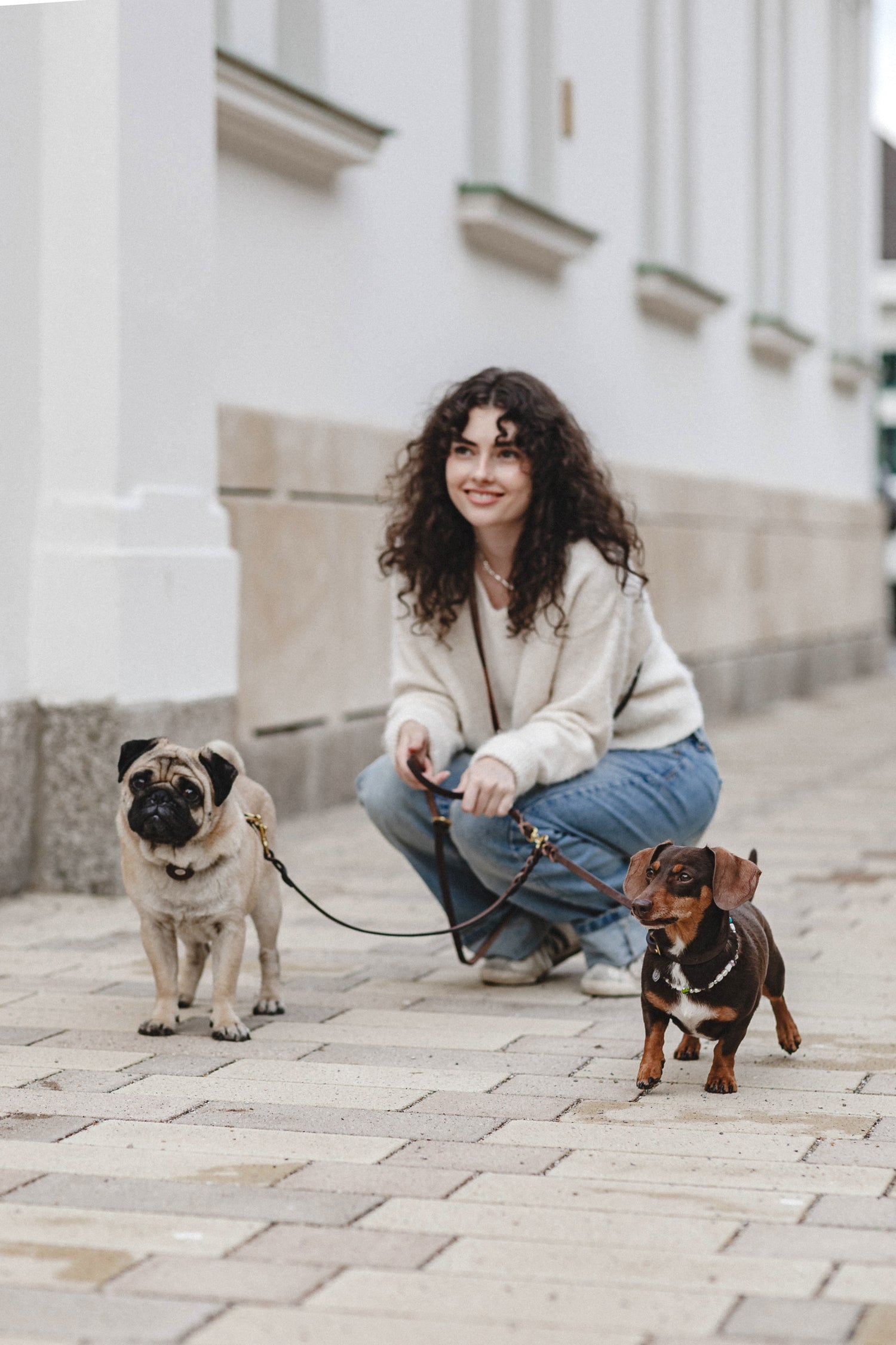 Pintu Double Dog Leash Extension Mood Chocolate Brass