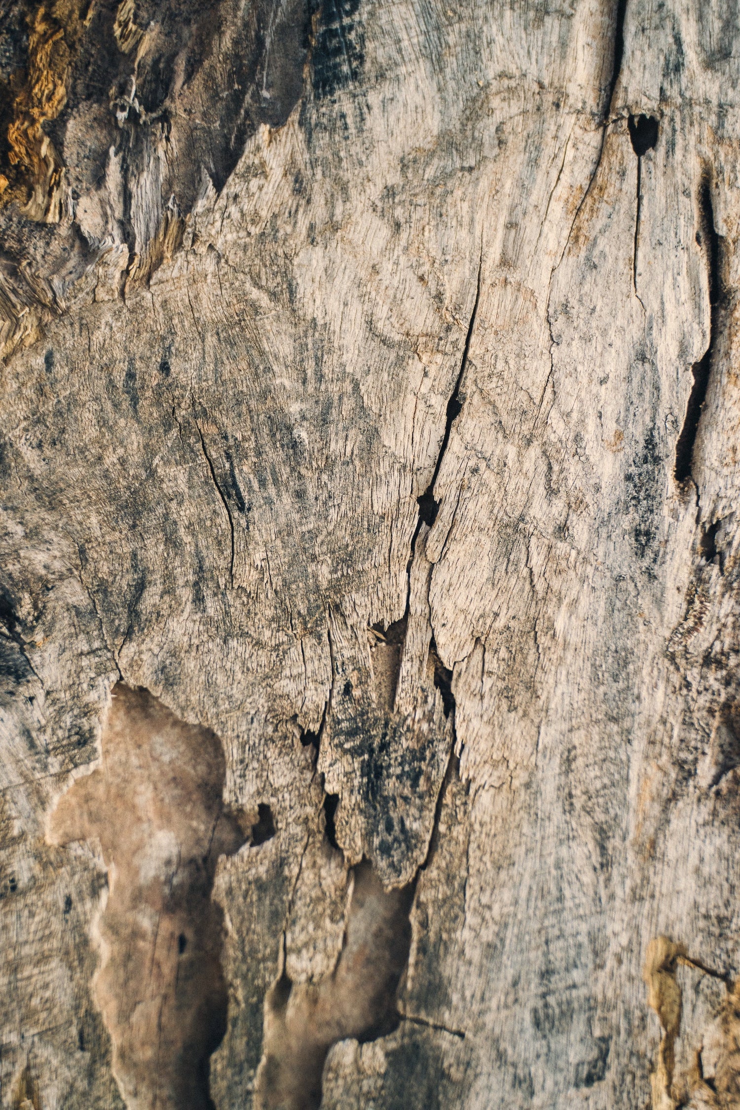 Pintu - Our Materials - Wood