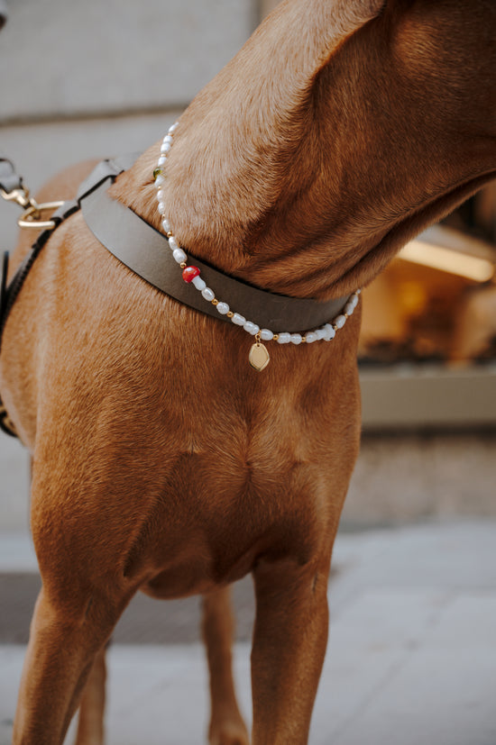 Pintu Studio 54 Dog Chain