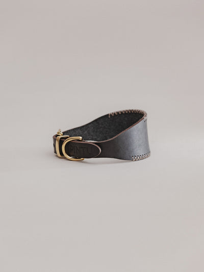 Pintu Dog Collar Viento - Black/Taupe - Brass