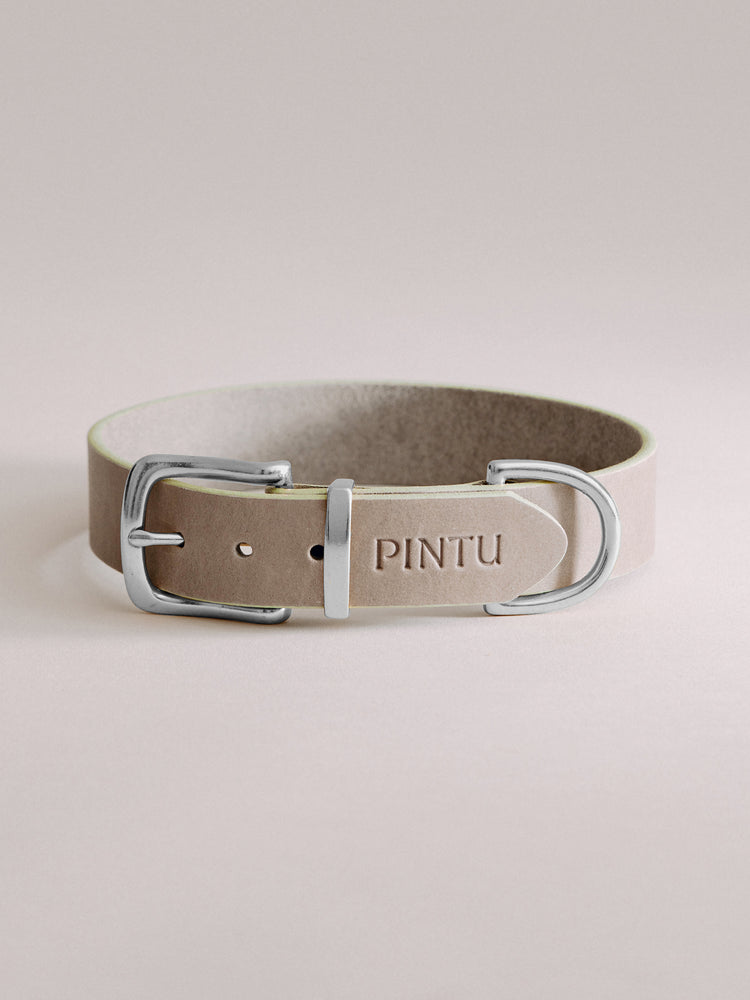 Pintu Dog Collar Monte - Grey/Sage Green - Stainless Steel