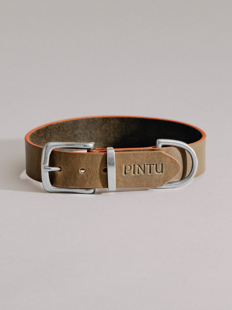 Pintu Dog Collar Monte - Olive/Dusty Orange - Stainless Steel