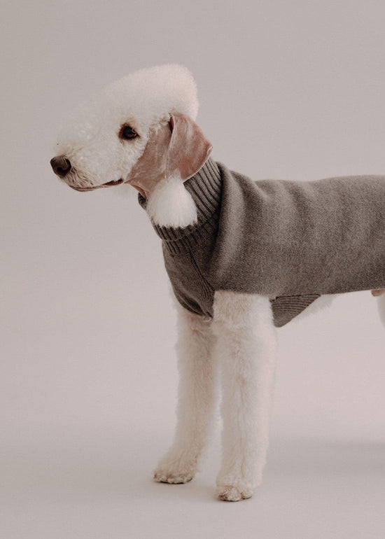 Cashmere Dog Pullover - Taupe - Pintu