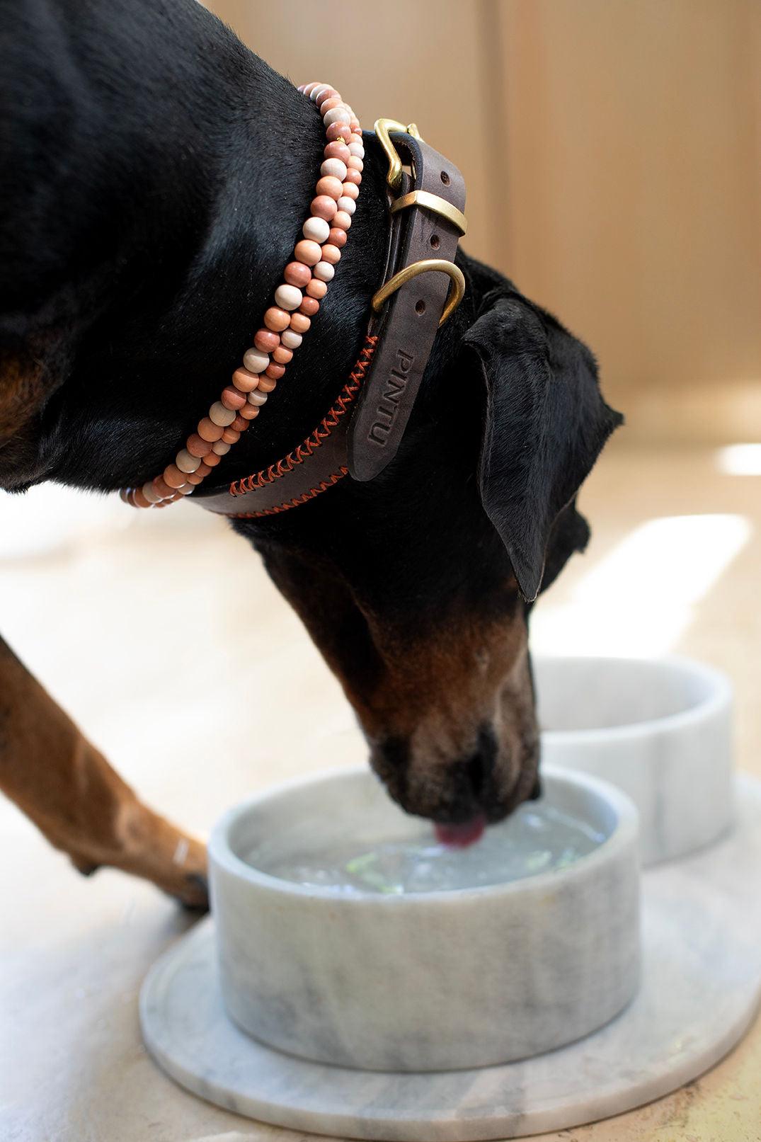Dog Bowl - Arctic White - Pintu