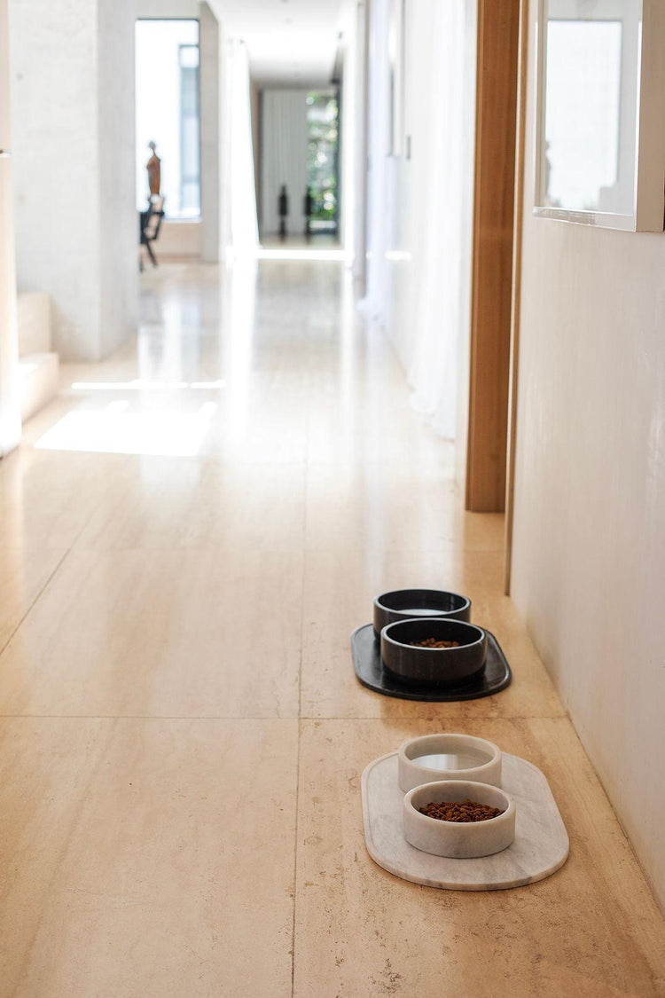 Dog Bowl - Pintu