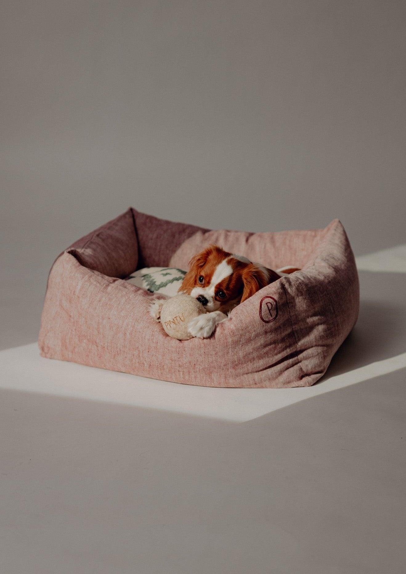 Pintu Dog Wool Toy - Pintu