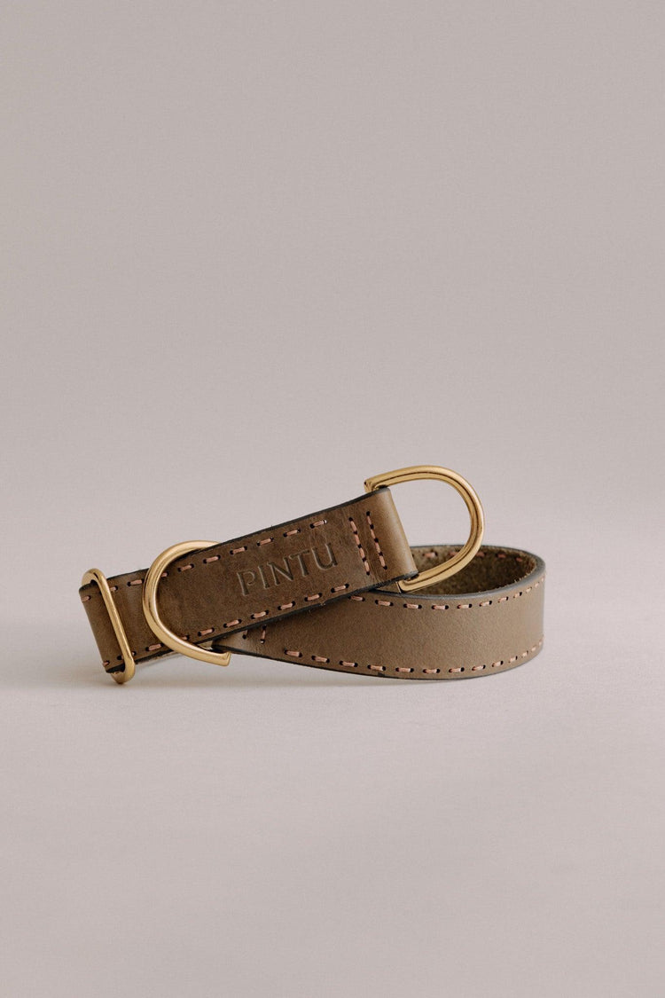 Dog Collar Bosque - Olive/Coral - Brass - Pintu