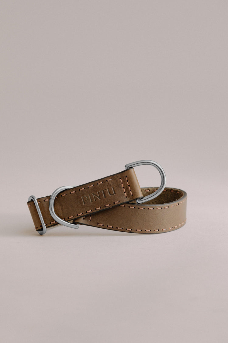 Dog Collar Bosque - Olive/Coral - Stainless Steel - Pintu