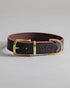 Dog Collar Monte - Chocolate/Grapefruit - Brass - Pintu