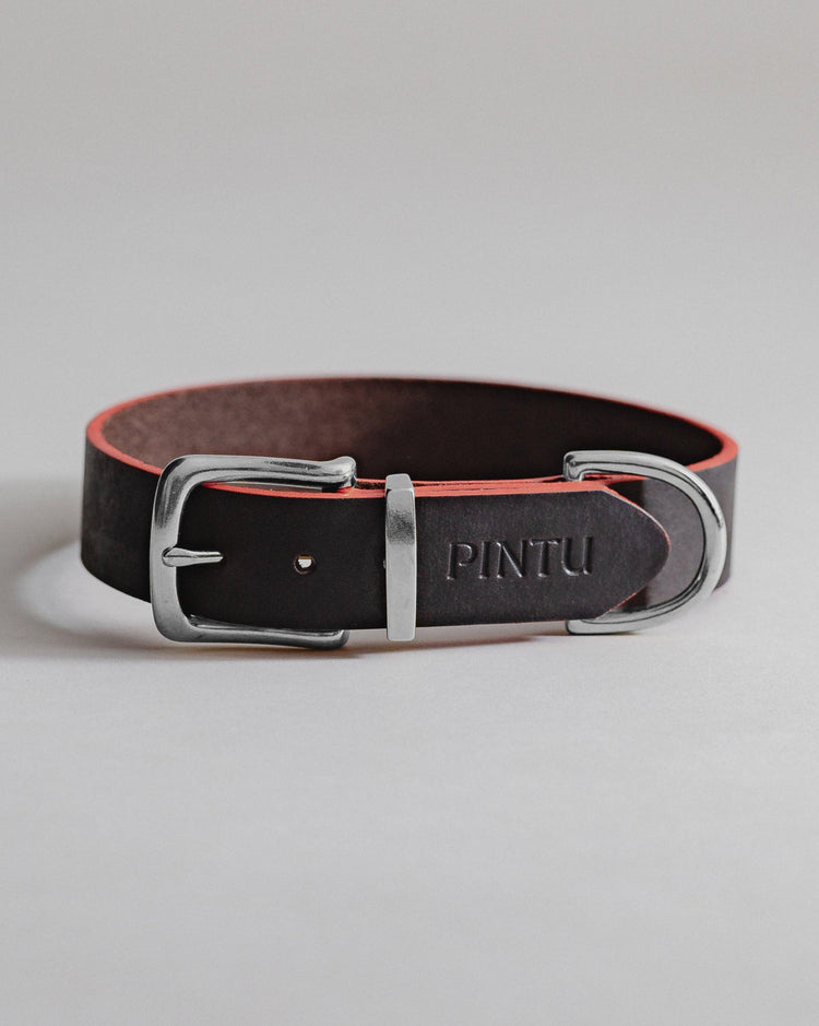 Dog Collar Monte - Chocolate/Grapefruit - Stainless Steel - Pintu