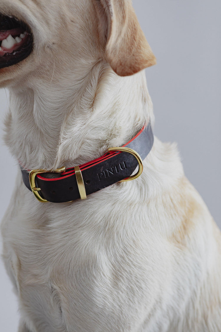 Dog Collar Monte - Chocolate - Pintu