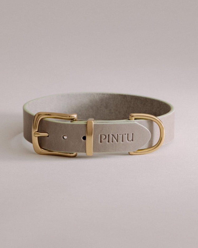 Dog Collar Monte - Grey/Sage Green - Brass - Pintu