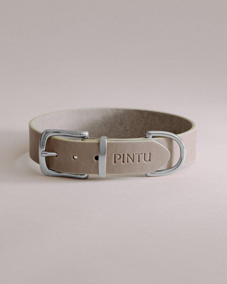 Dog Collar Monte - Grey/Sage Green - Stainless Steel - Pintu