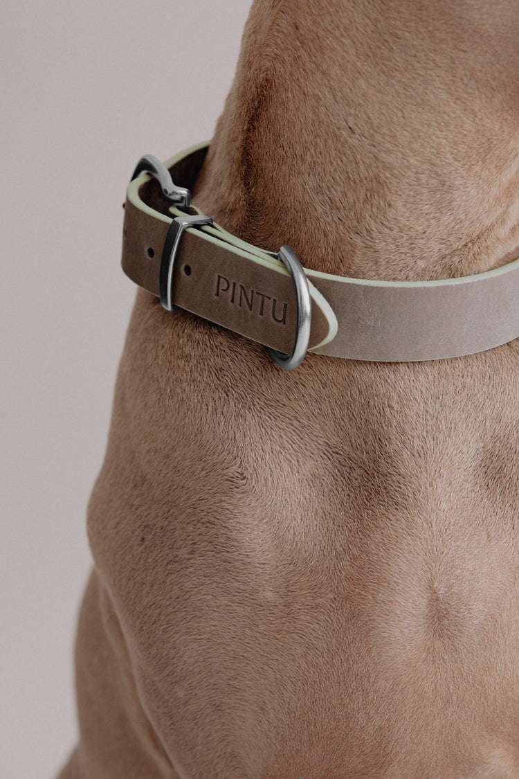 Dog Collar Monte - Grey/Sage Green - Pintu
