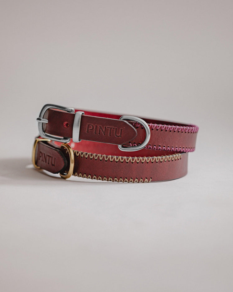 Dog Collar Porthos - Cherry - Pintu