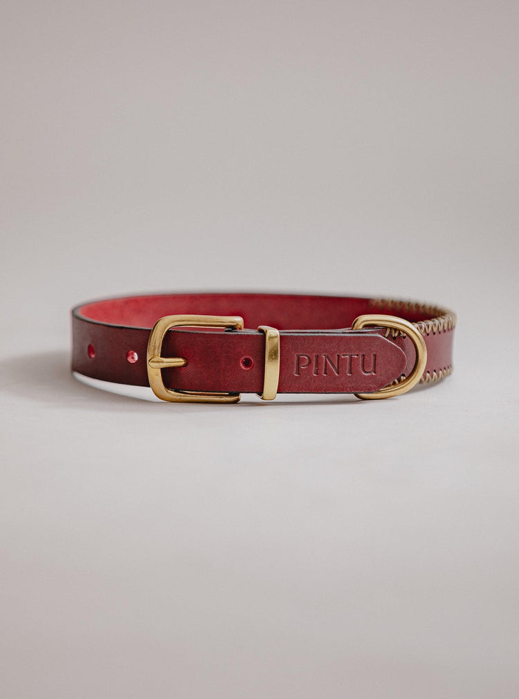 Dog Collar Porthos - Cherry/Gold - Pintu