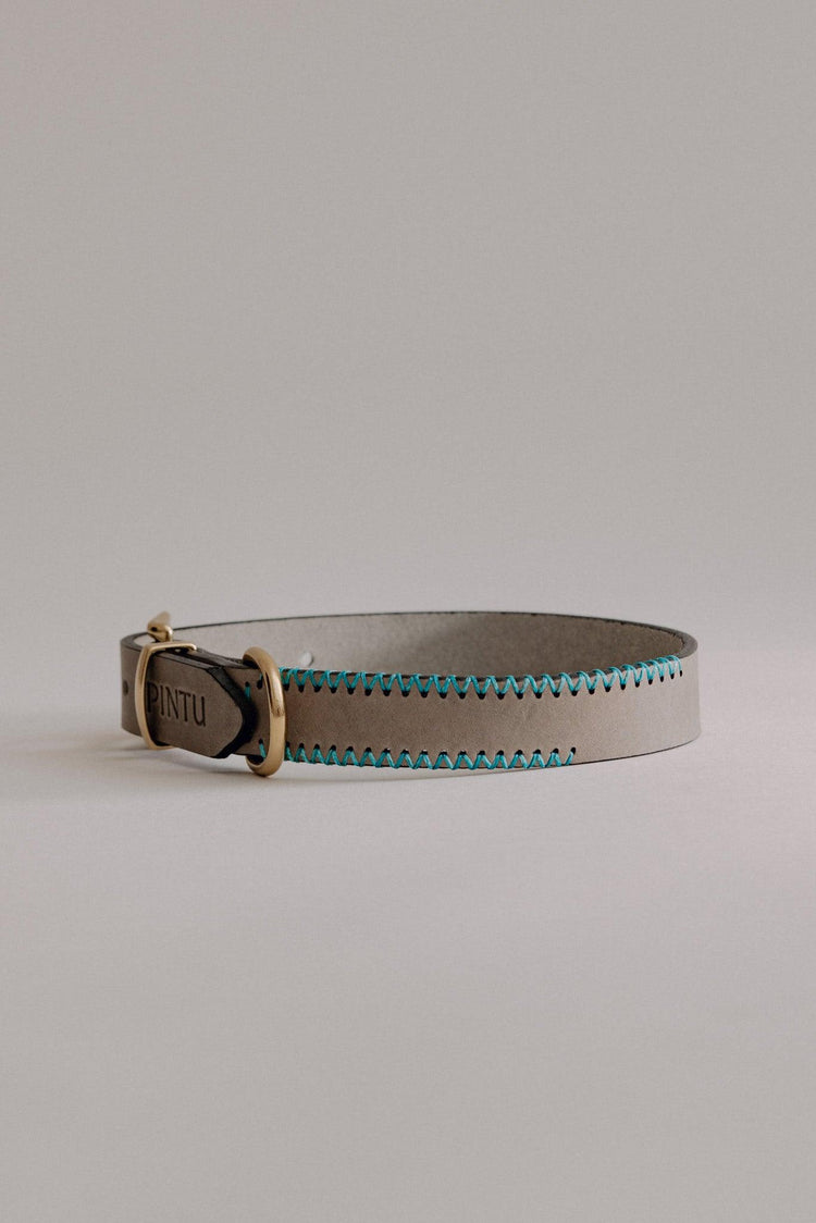 Dog Collar Porthos - Grey/Turquoise - Pintu