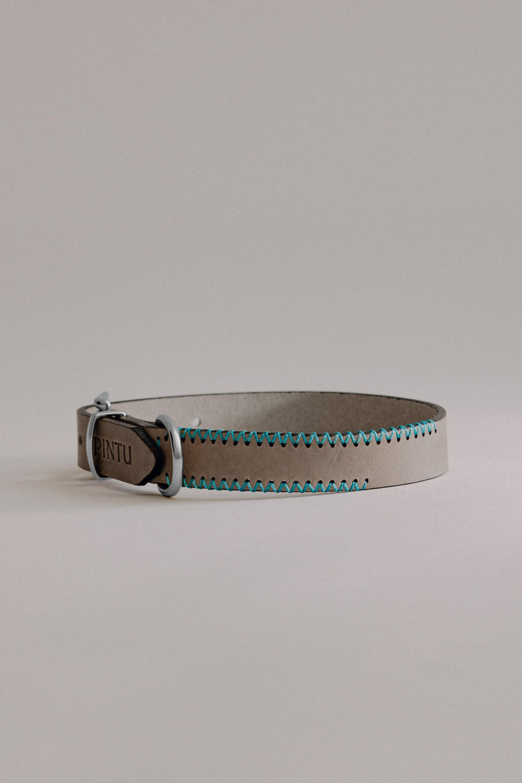 Dog Collar Porthos - Grey/Turquoise - Pintu