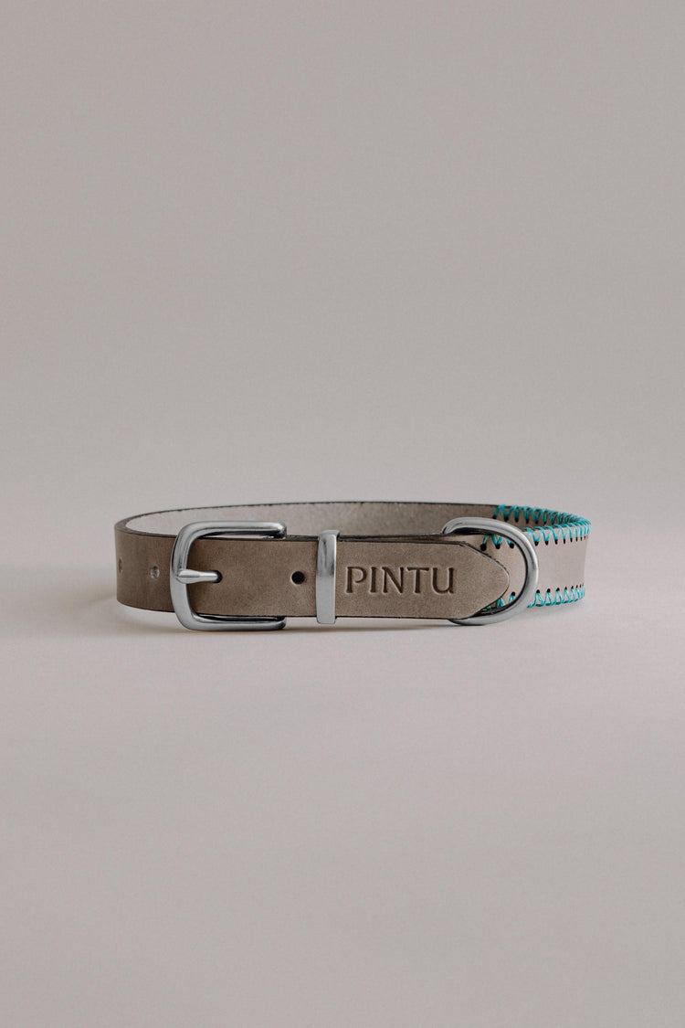 Dog Collar Porthos - Grey/Turquoise - Pintu