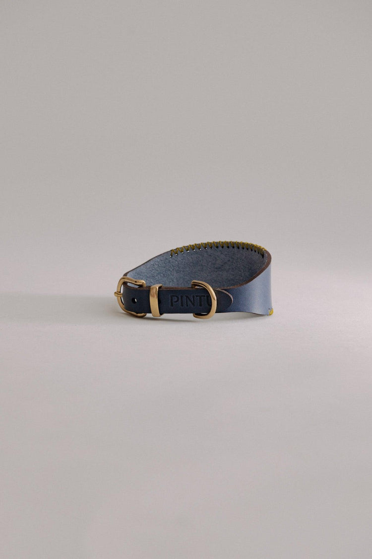 Dog Collar Viento - Navy/Green - Brass - Pintu