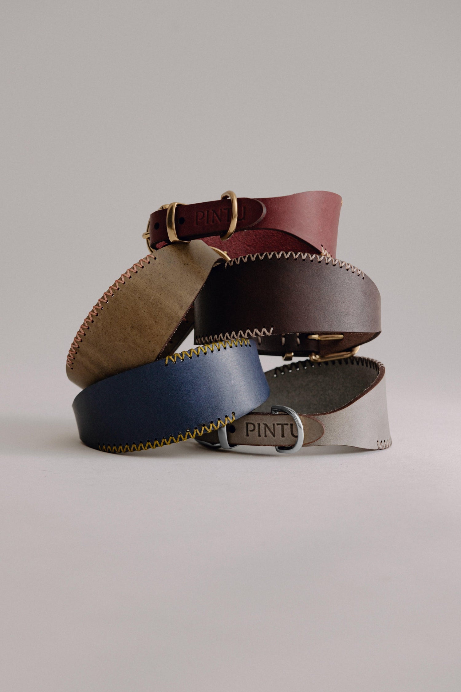Dog Collar Viento - Pintu