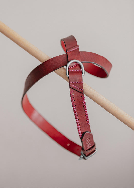 Dog Harness Flynn - Cherry/Pink - Pintu