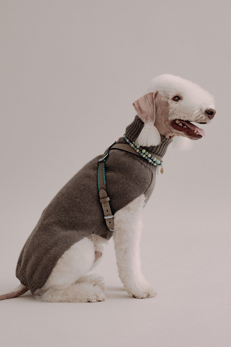 Dog Harness Flynn - Grey/Turquoise - Pintu