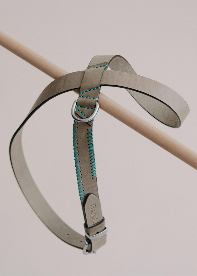 Dog Harness Flynn - Grey/Turquoise - Pintu