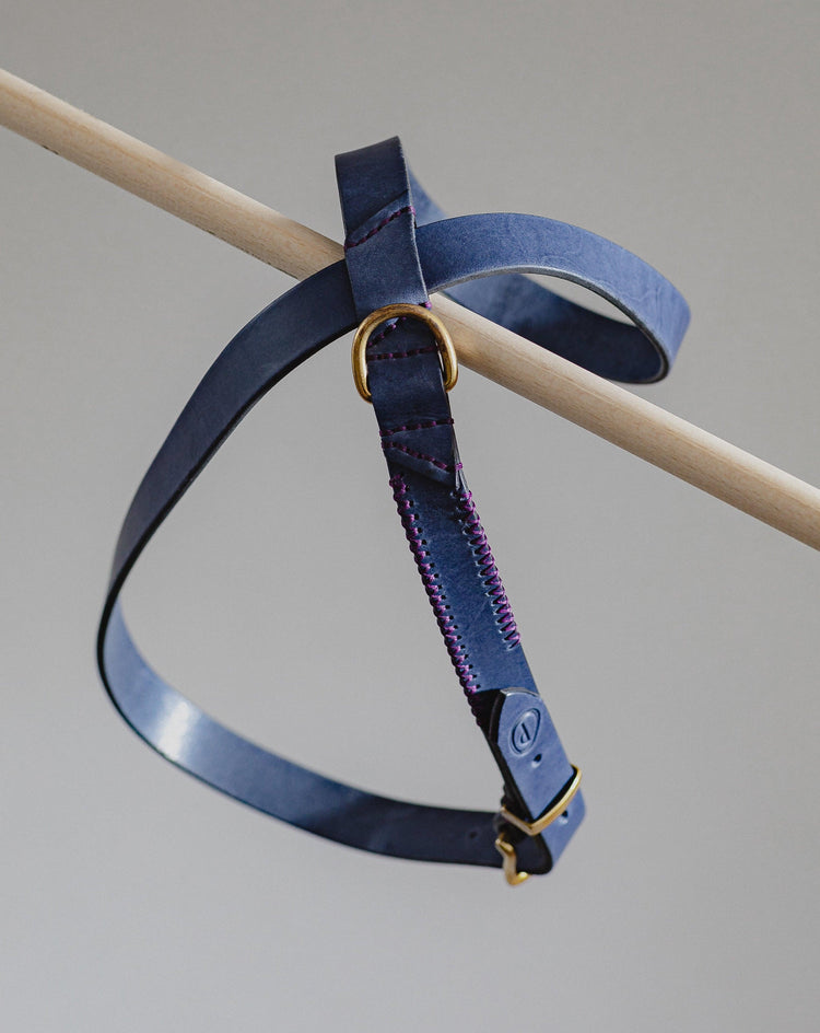 Dog Harness Flynn - Navy/Purple - Pintu
