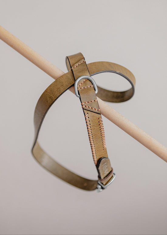 Dog Harness Flynn - Olive/Coral - Pintu