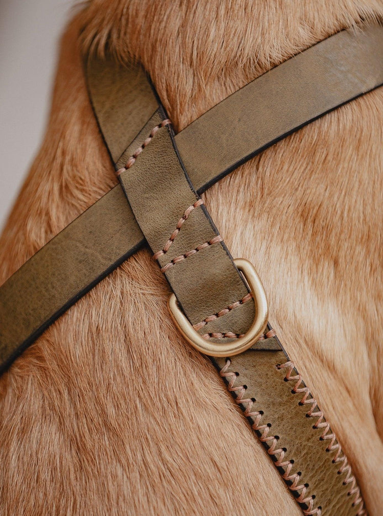 Dog Harness Flynn - Olive/Coral - Pintu