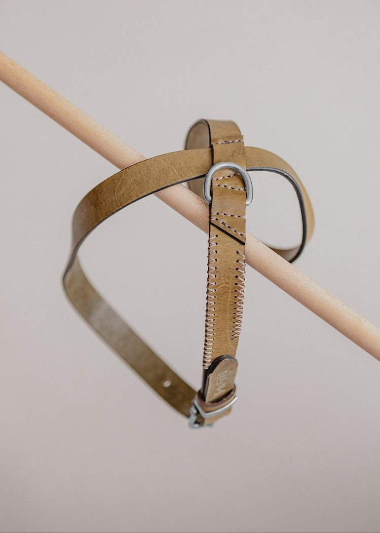 Dog Harness Flynn - Olive/Taupe - Pintu