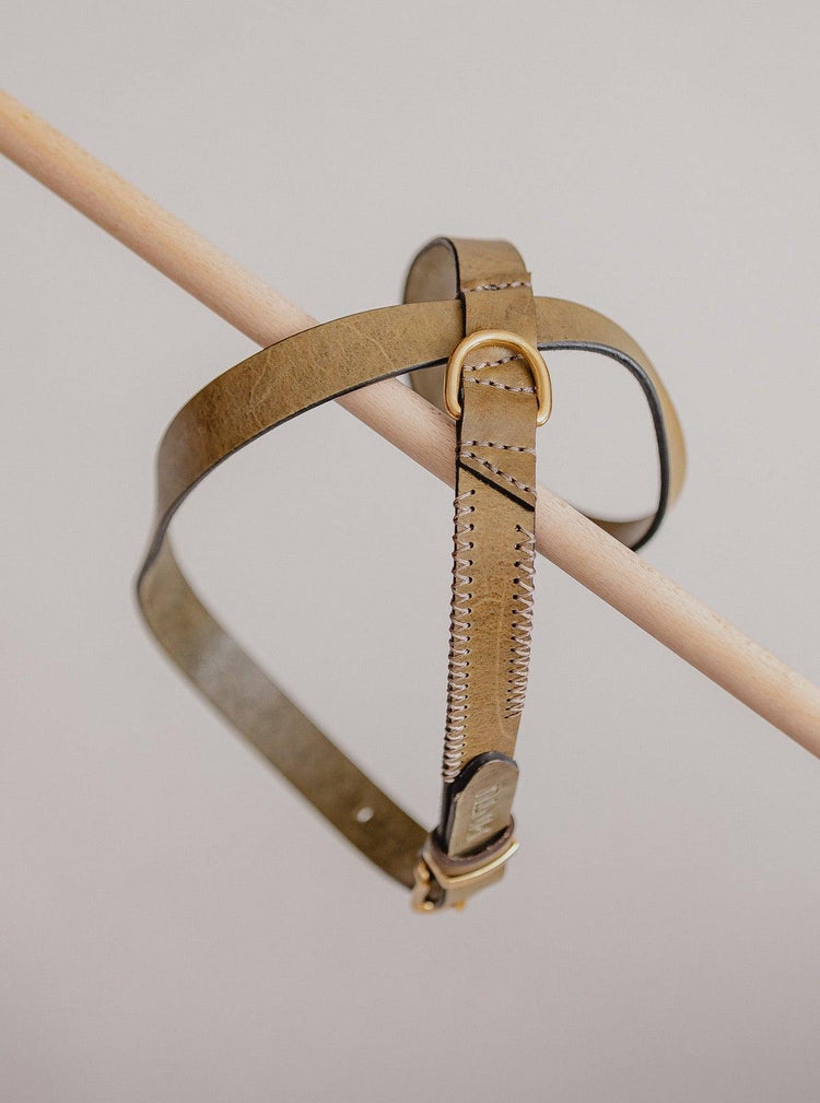 Dog Harness Flynn - Olive/Taupe - Pintu