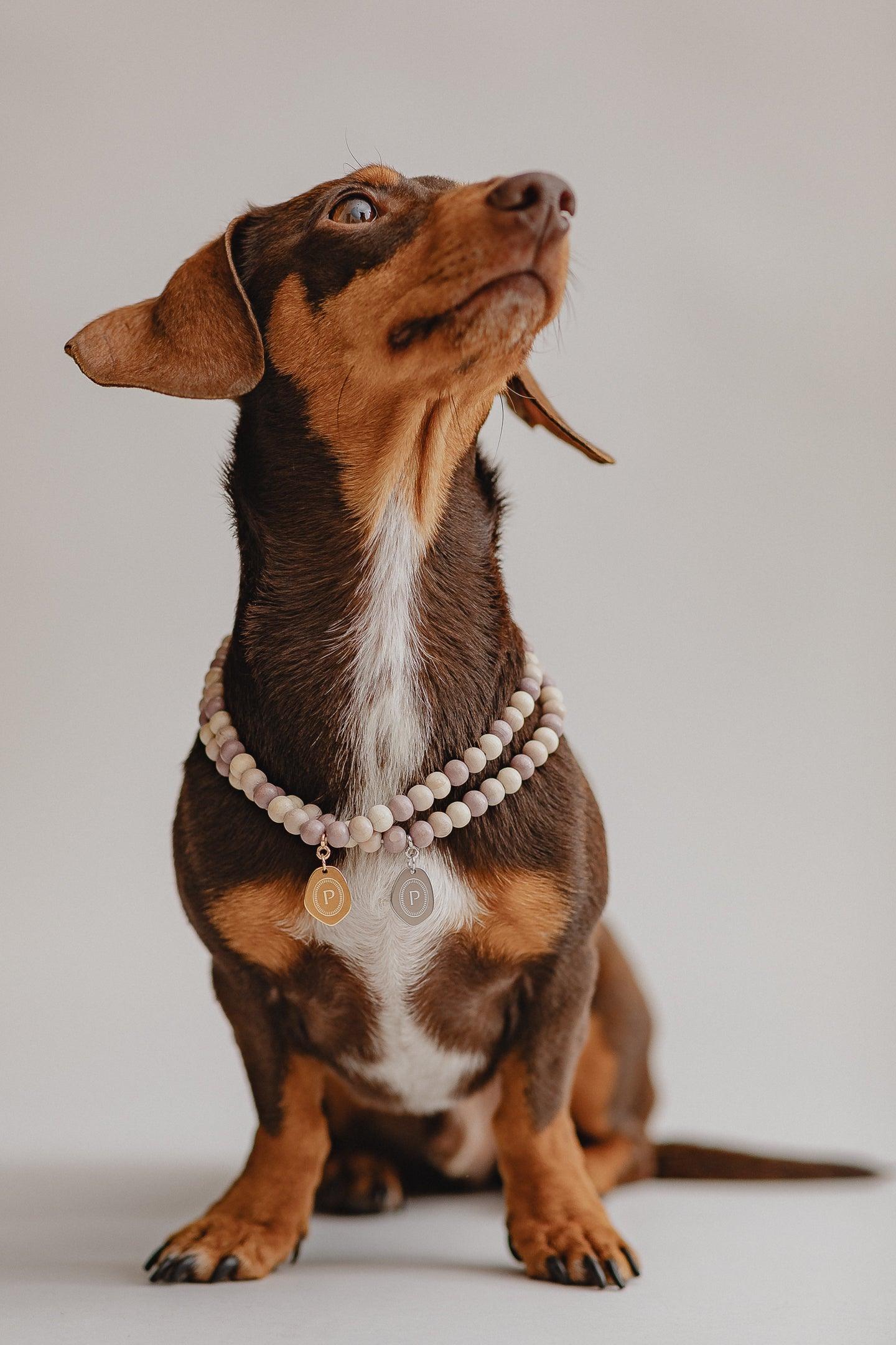 Small Dog Chains - Hazelnut - Pintu