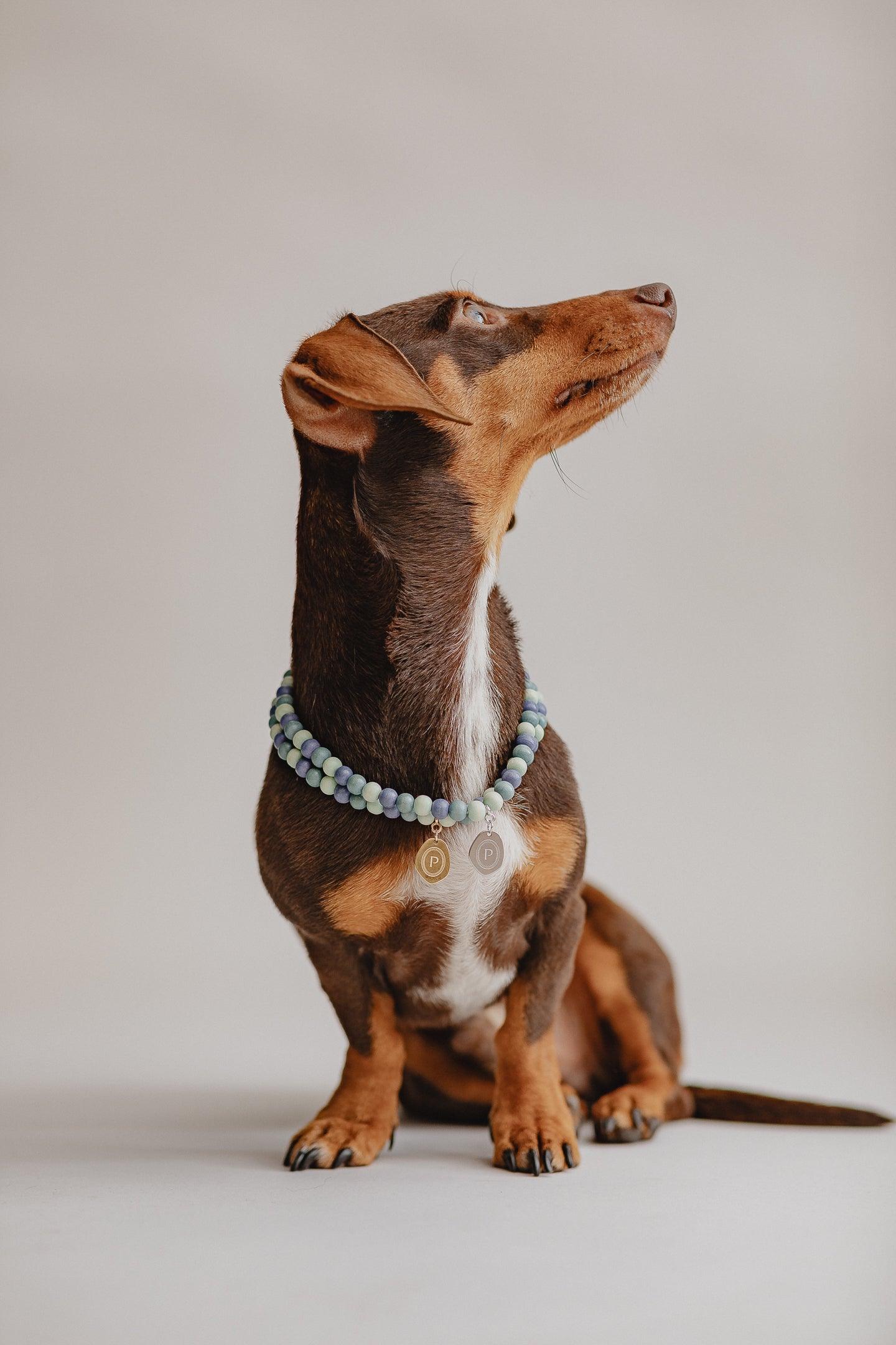 Small Dog Chains - Misty - Pintu