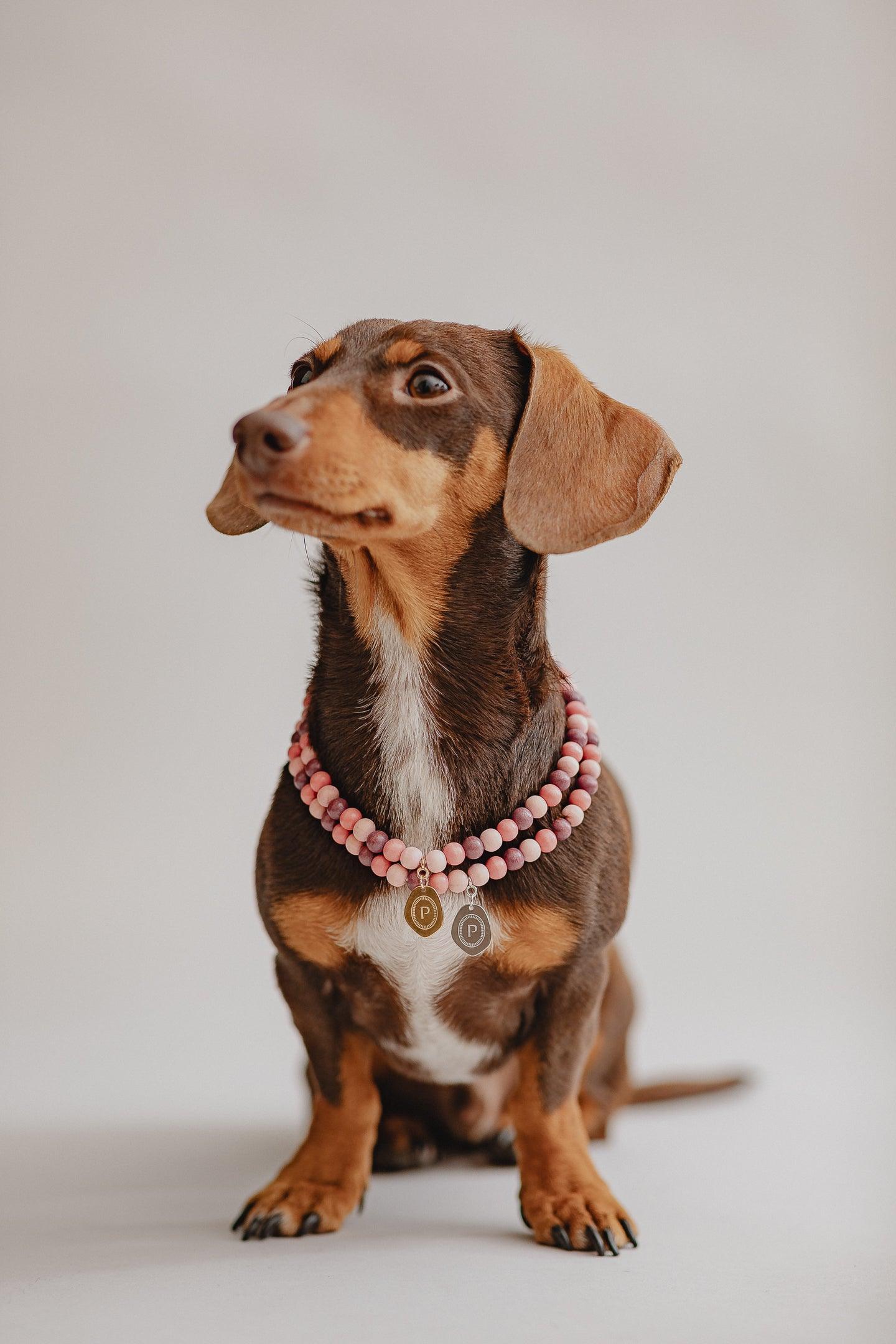 Small Dog Chains - Misty Rose - Pintu