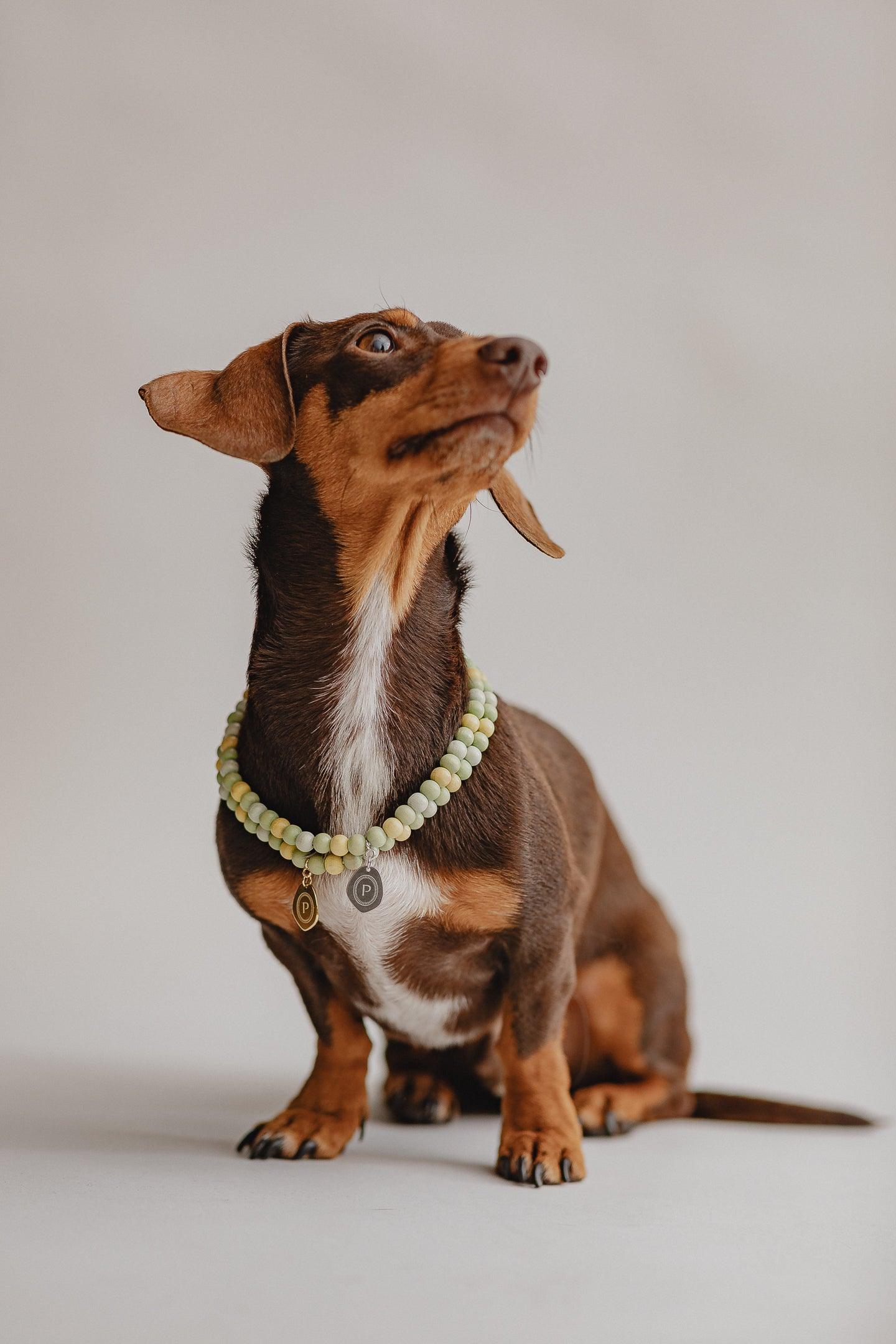 Small Dog Chains - Pistachio - Pintu
