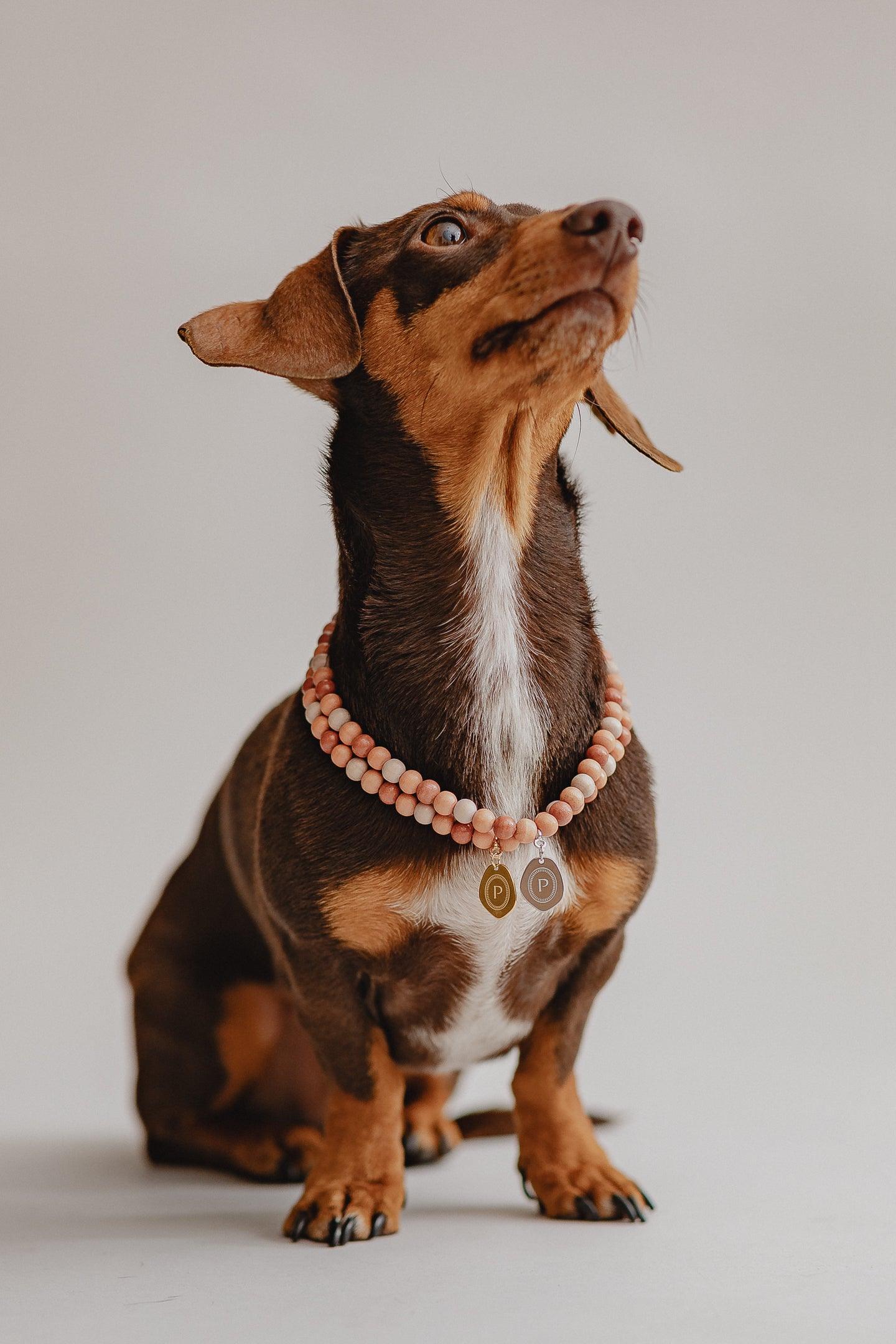 Small Dog Chains - Terracotta - Pintu