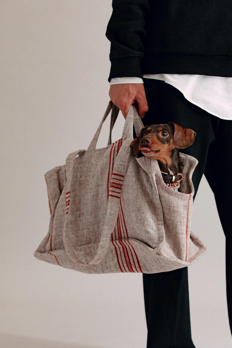 Verano Dog Shopper - Cannes - Chocolate/Orange Stripes - Pintu
