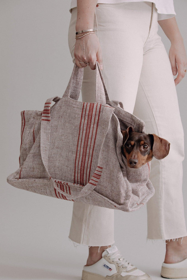 Verano Dog Shopper - Cannes - Chocolate/Orange - Pintu