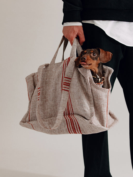 Pintu Verano Dog Shopper - Cannes